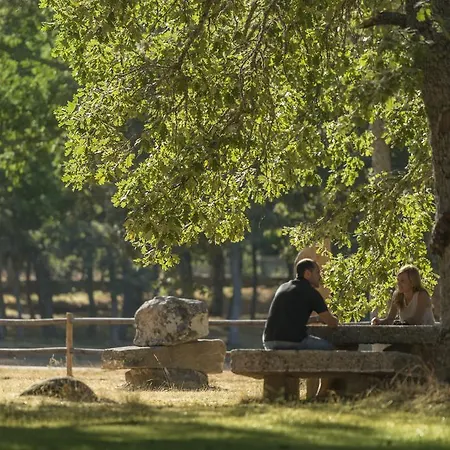 Casa rural La Rana *